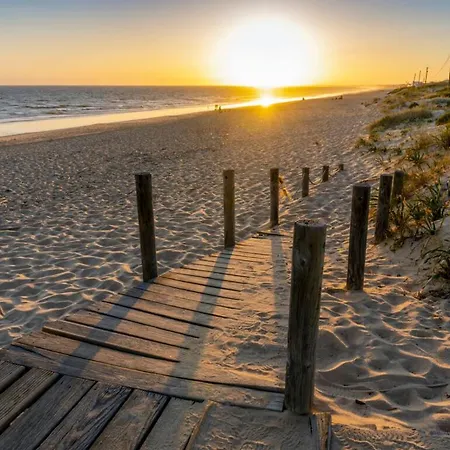 In Close To Airport Faro